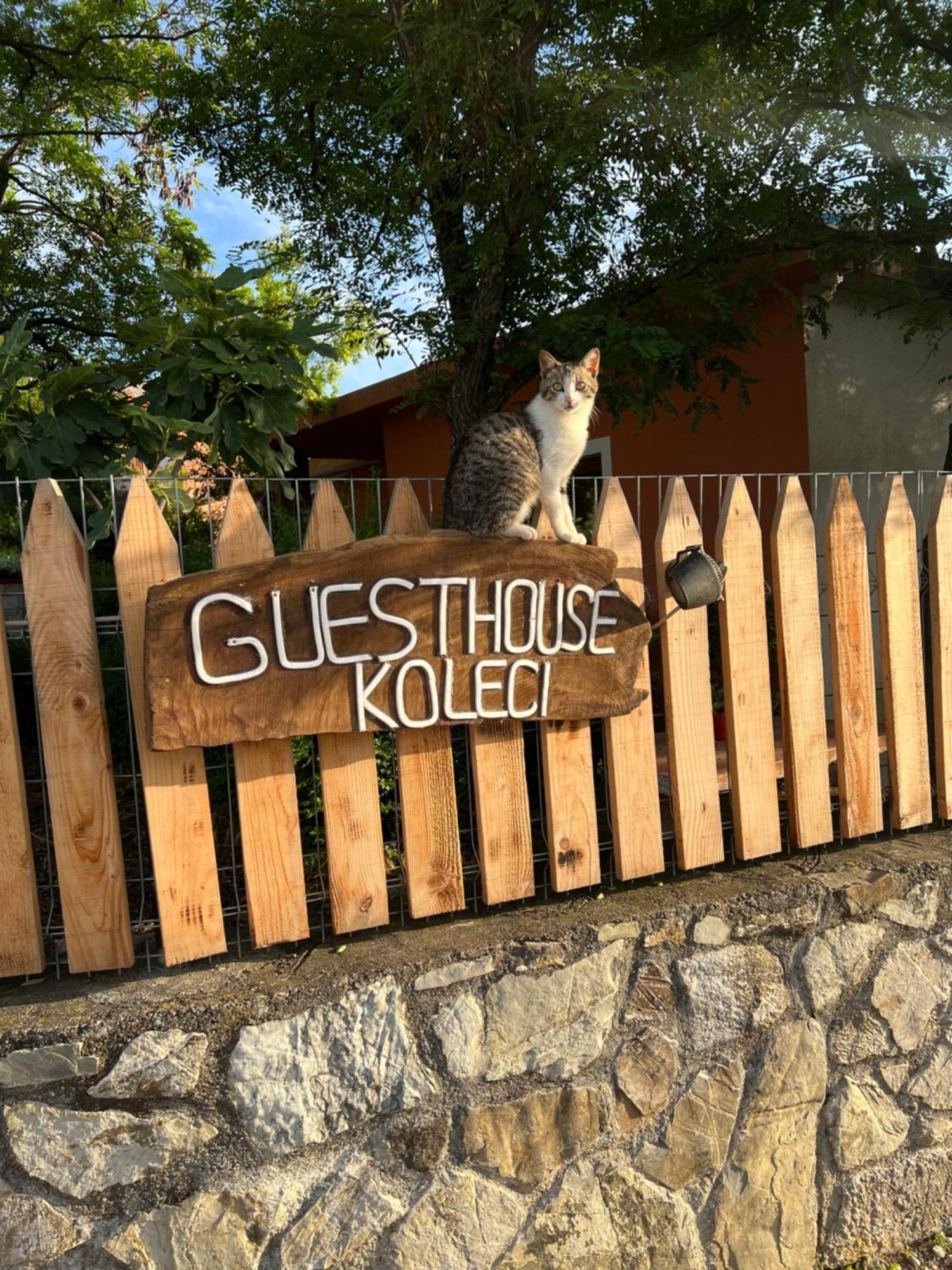 Guesthouse Koleci - Mrizi I Zanave Fishte Exteriör bild